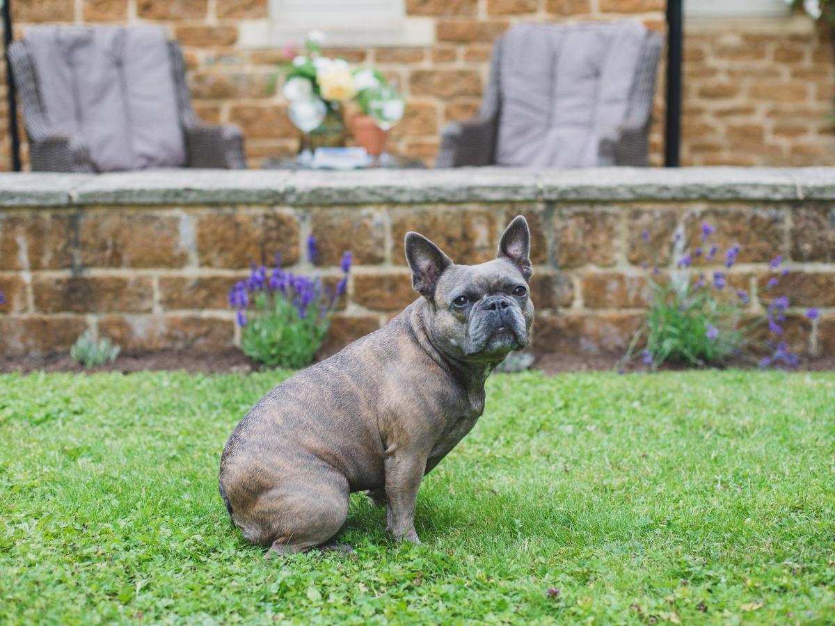 Climbing Rose Cottage - Dog Friendly - Peaceful Cotswold Cottage Adlestrop Zewnętrze zdjęcie
